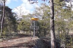 Frisbee03